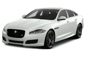 Seguro para Jaguar